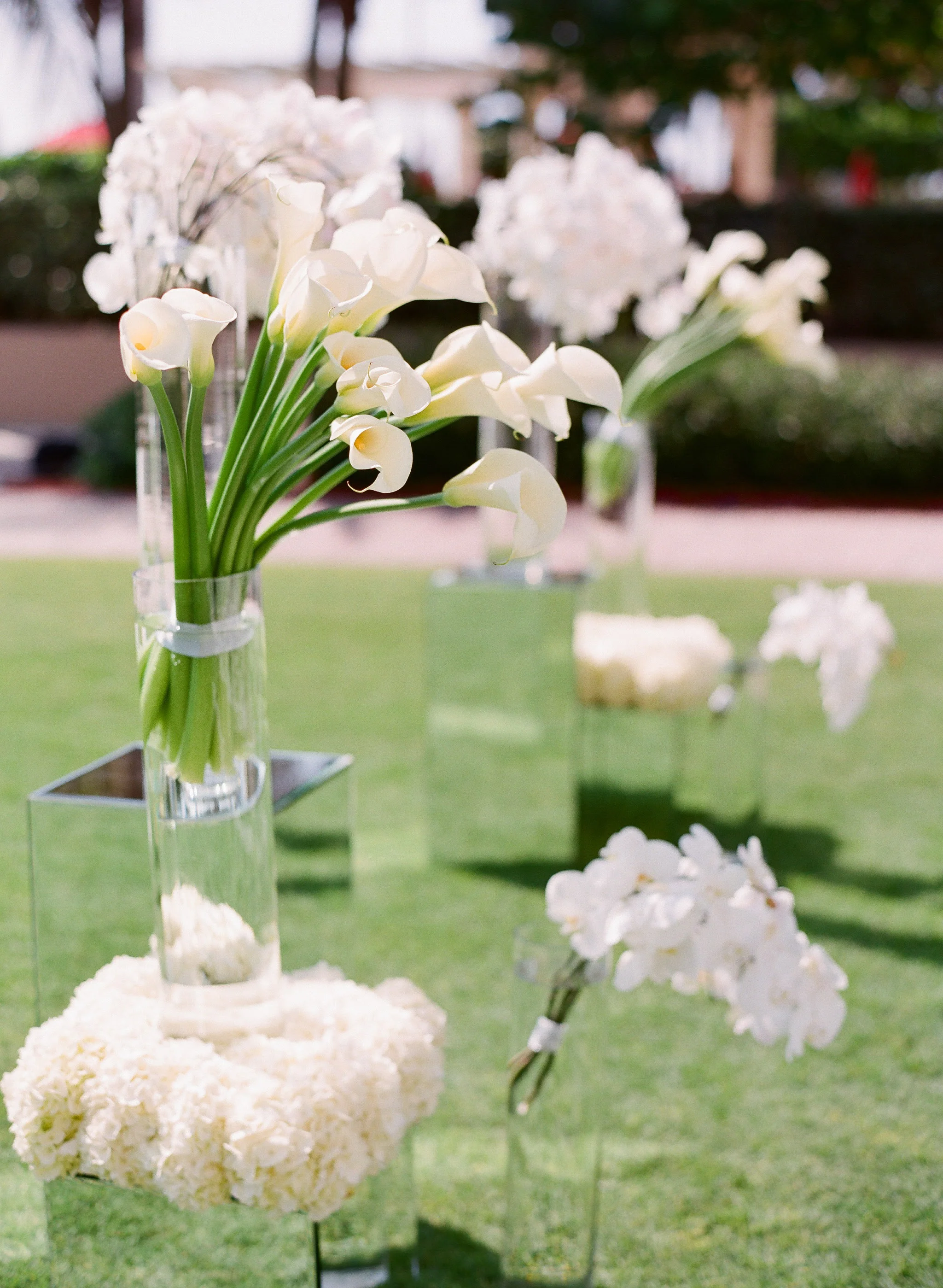 Marco Island Wedding Planner