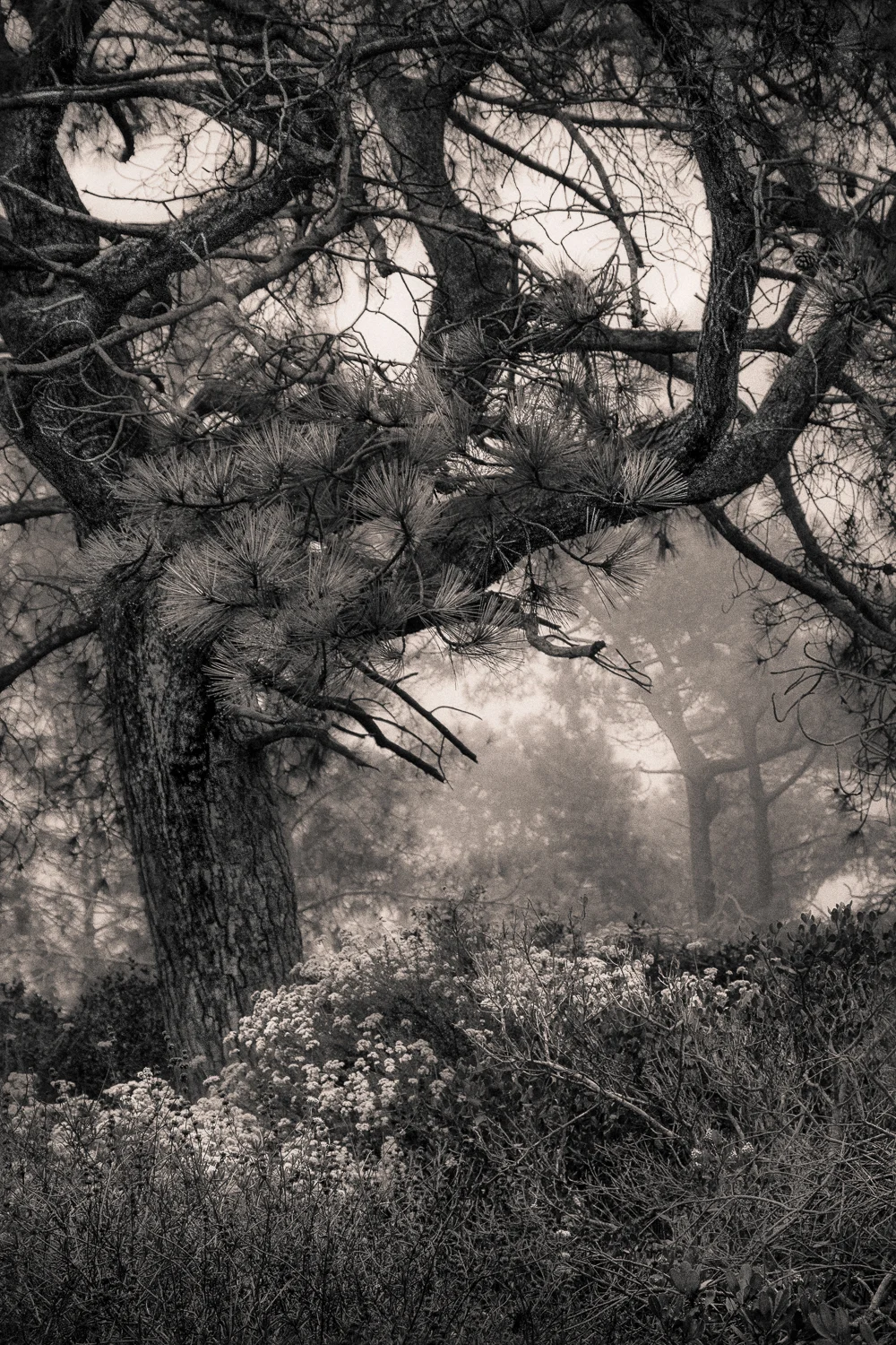 08 Seeing Silence.jpg