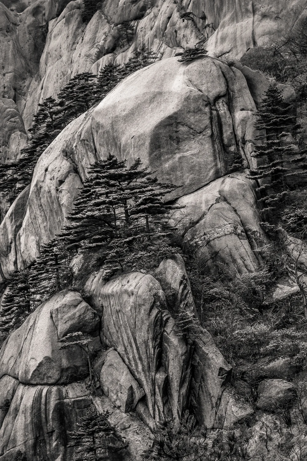 Emergence