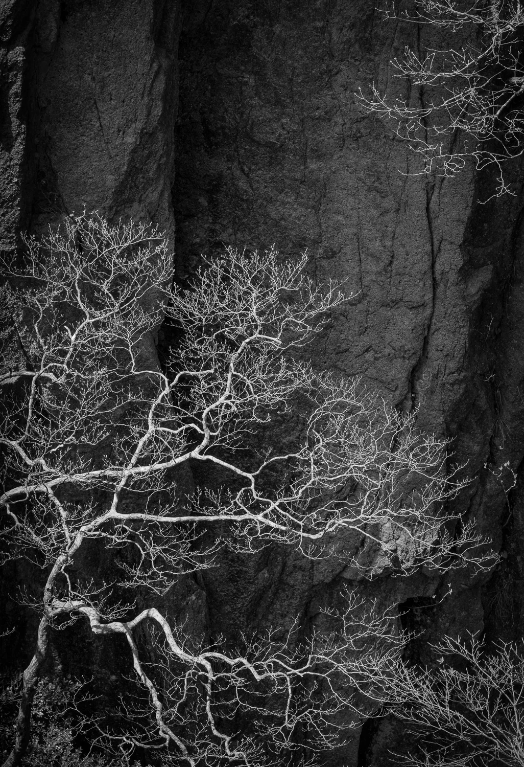 Reaching