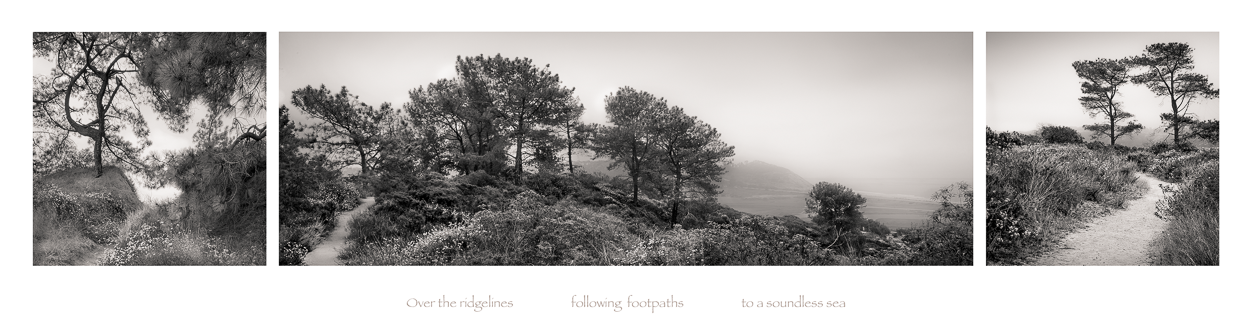 VisualPoem_FollowingFootpaths.png