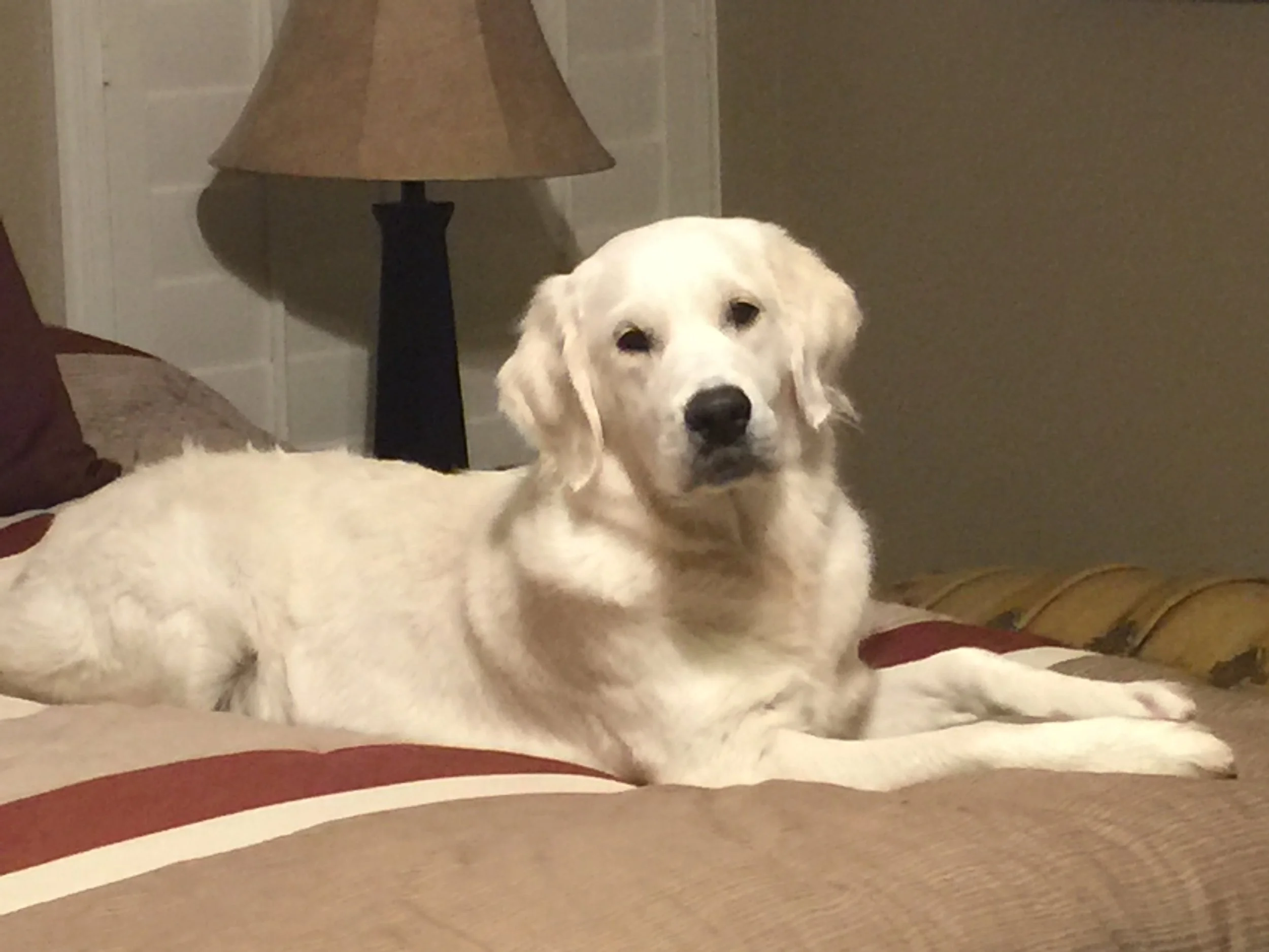 Riley_Juneau1.jpeg