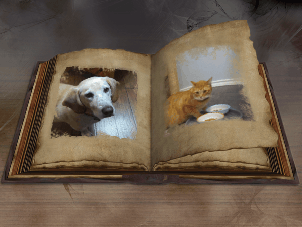d25d9691-098c-460c-a5f3-d8a7fcb5989f.gif