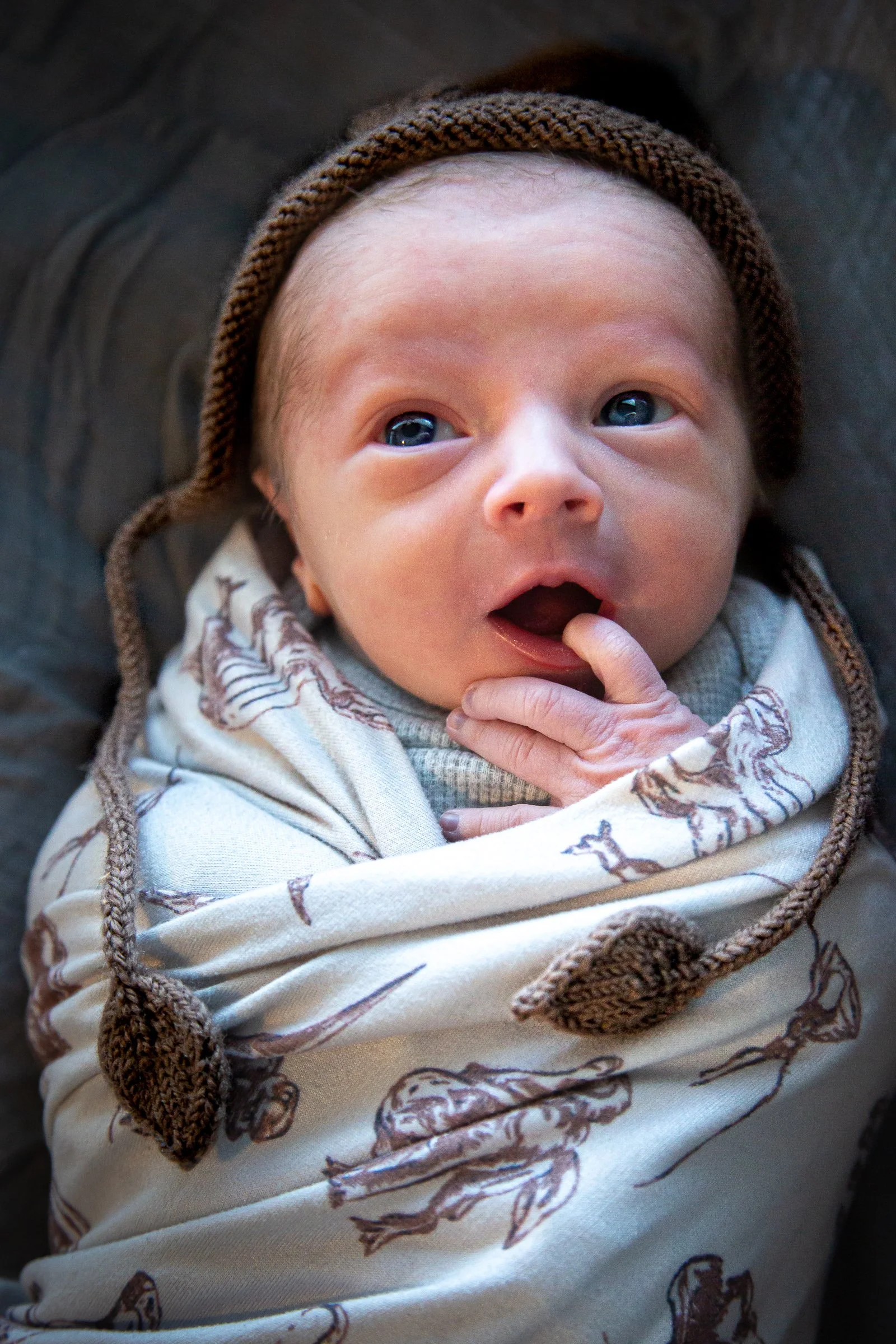 atnewborn-003.jpg