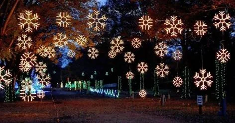 Drive-through holiday light display synchronized to music at The Dancing Lights of Christmas in Tennessee.