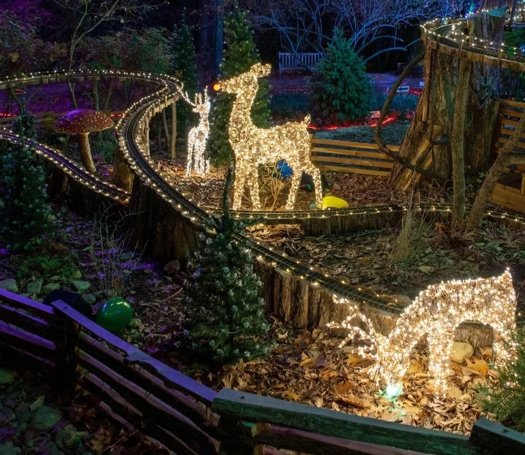 Illuminated deer figures and a winding lighted pathway at night during Holiday LIGHTS at Cheekwood Estate and Gardens in Nashville.