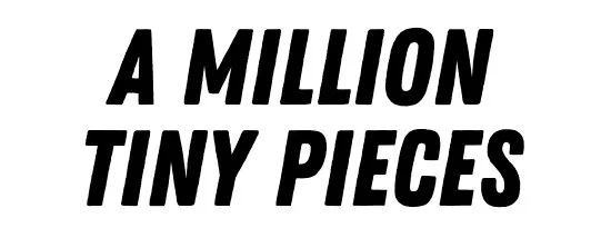 A Million Tiny Pieces