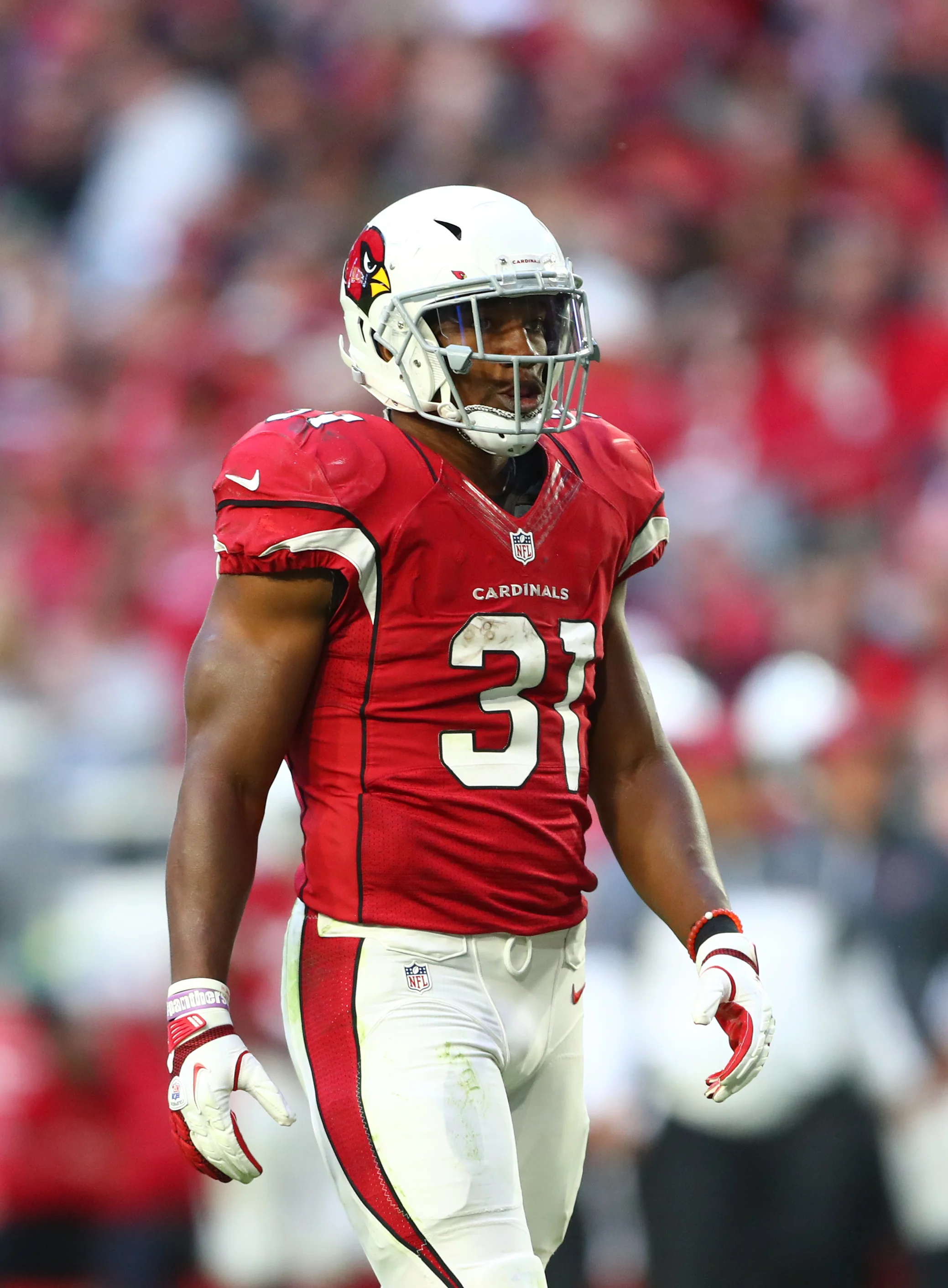 davidjohnson.jpg