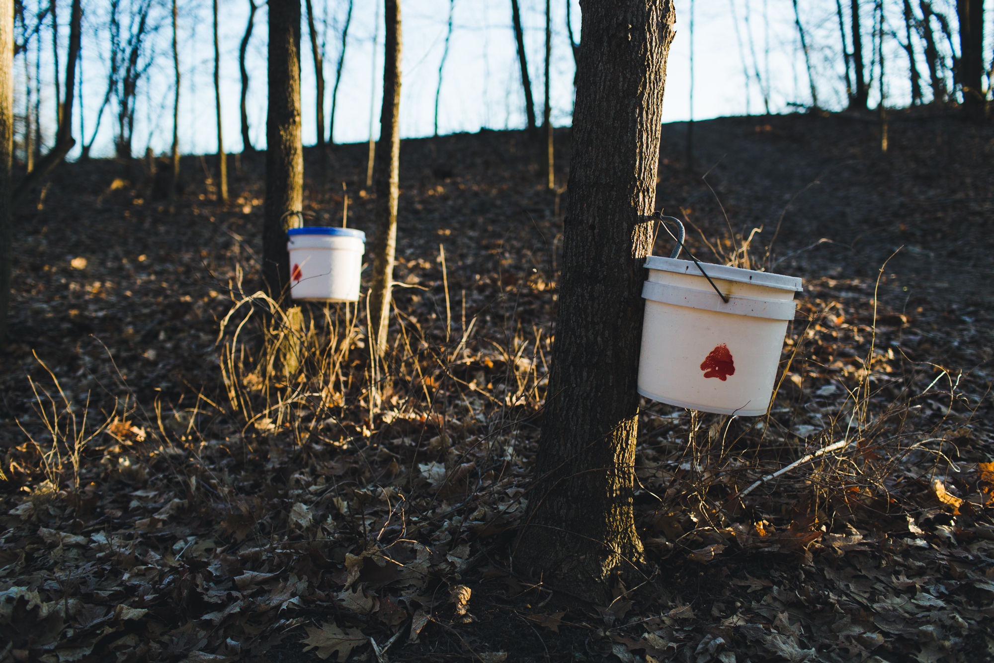 sugarshack_019.jpg