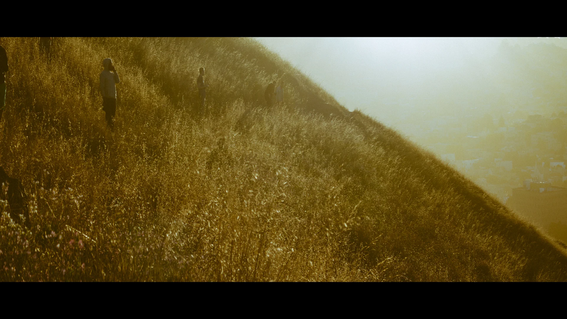 bernal24web.jpg