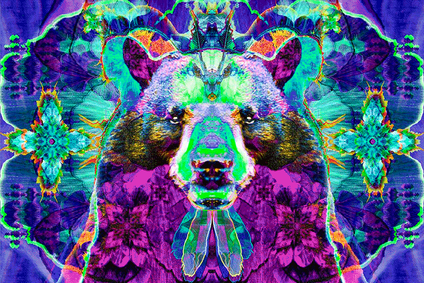 oso1.gif