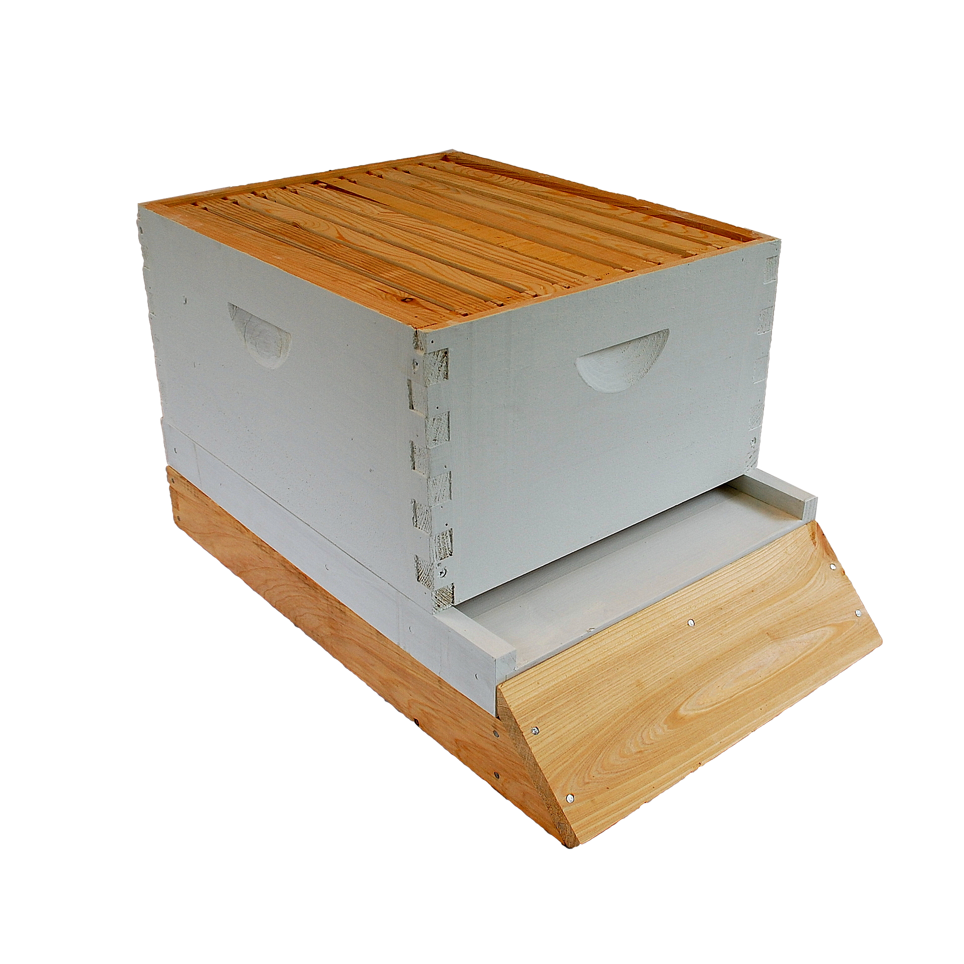 Langstroth Hive Stand with Box Foxhound.jpg