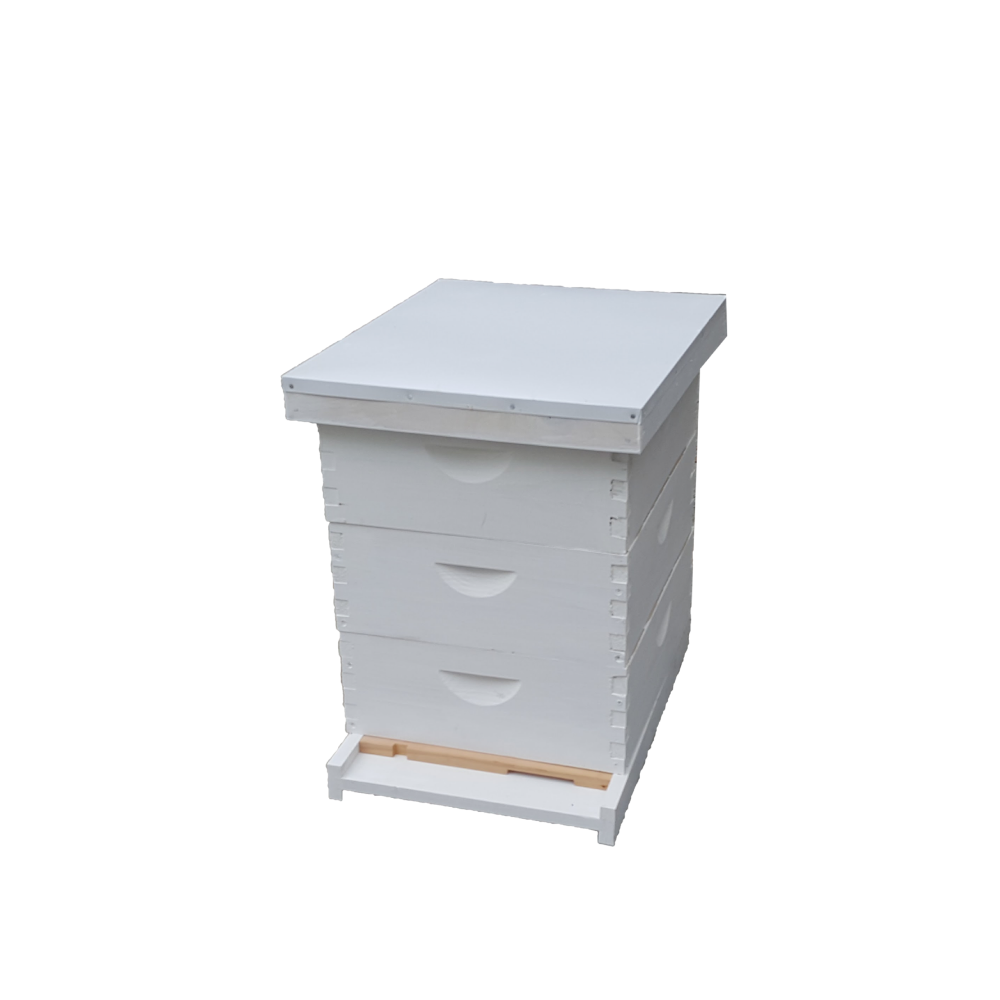 Langstroth Medium Beginner Hive.png