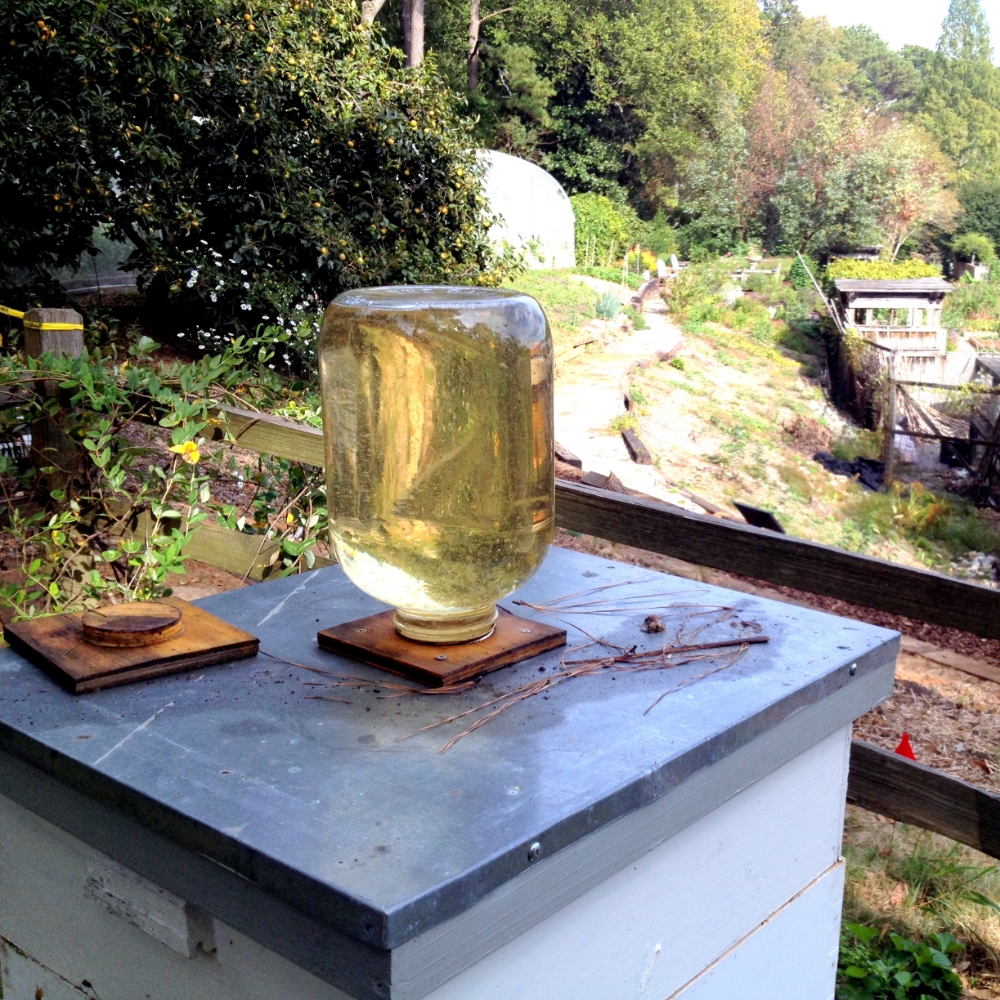 The Best And Cheapest Way To Feed Bees Foxhound Bee Company