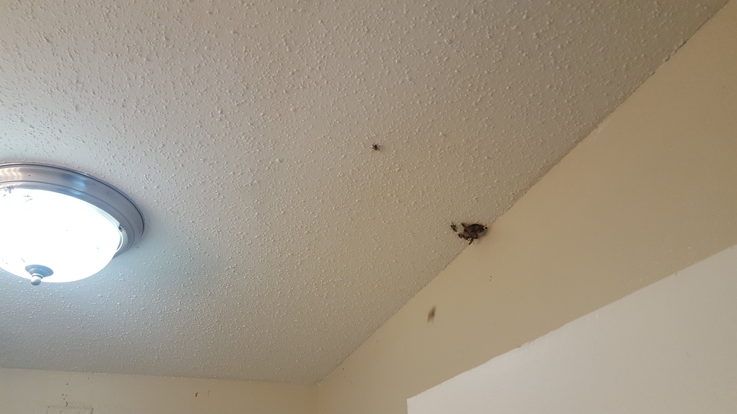 20170612_143219.jpg