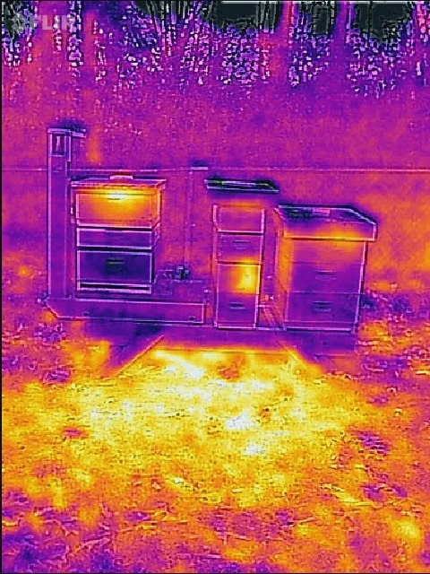 Three beehives side by side showing the center of the brood nests. The hive on the far right is very weak compared to the hive on the left.