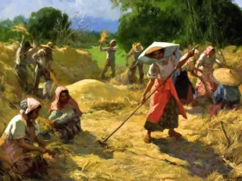 Did you know? Planting Myths in Tarlac, Philippines