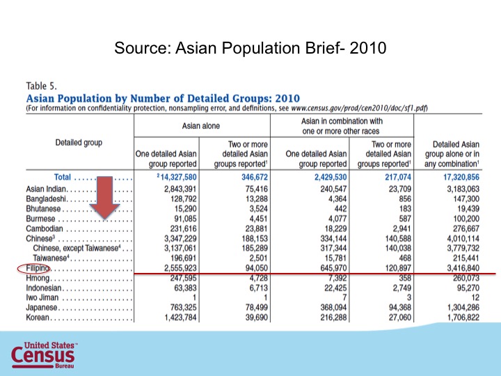 S7_Asian Population Brief.jpg