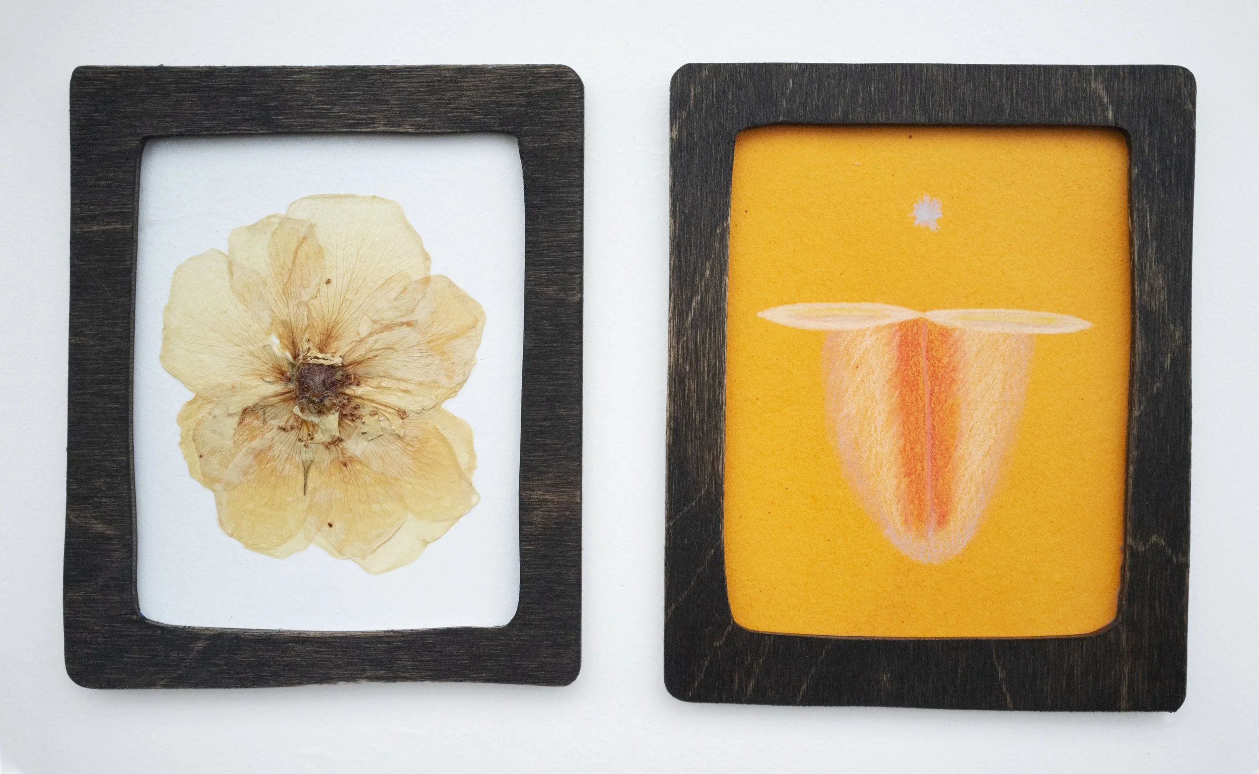 M.M. Brady &amp; Colleen RJC Bratton