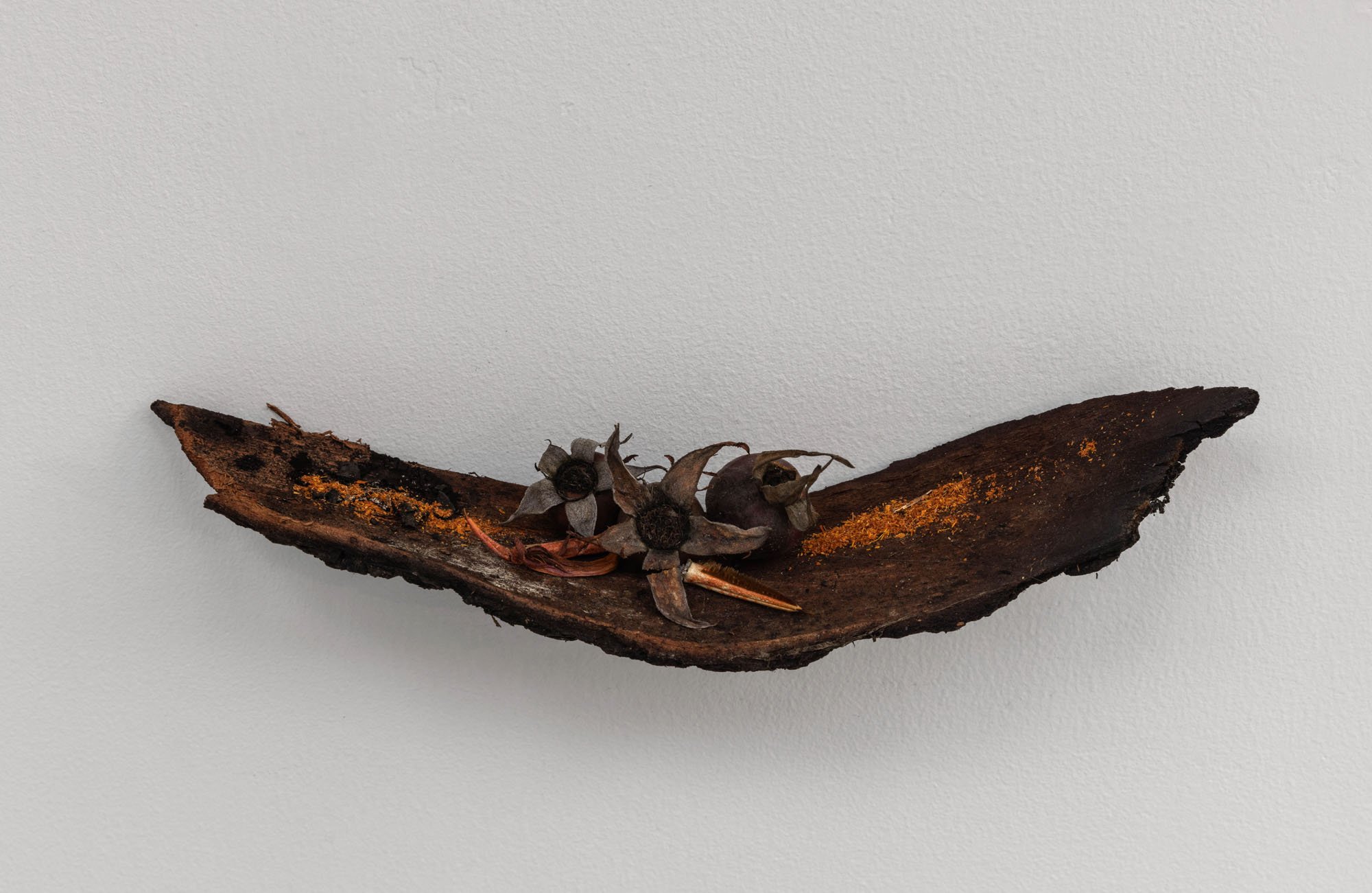   Hips to Cradle , 2024, Rose Hips, charred bark from Bolt Creek fire, Kelp Crab, Dungeness Crab, Montebretia, Sword Lily. 