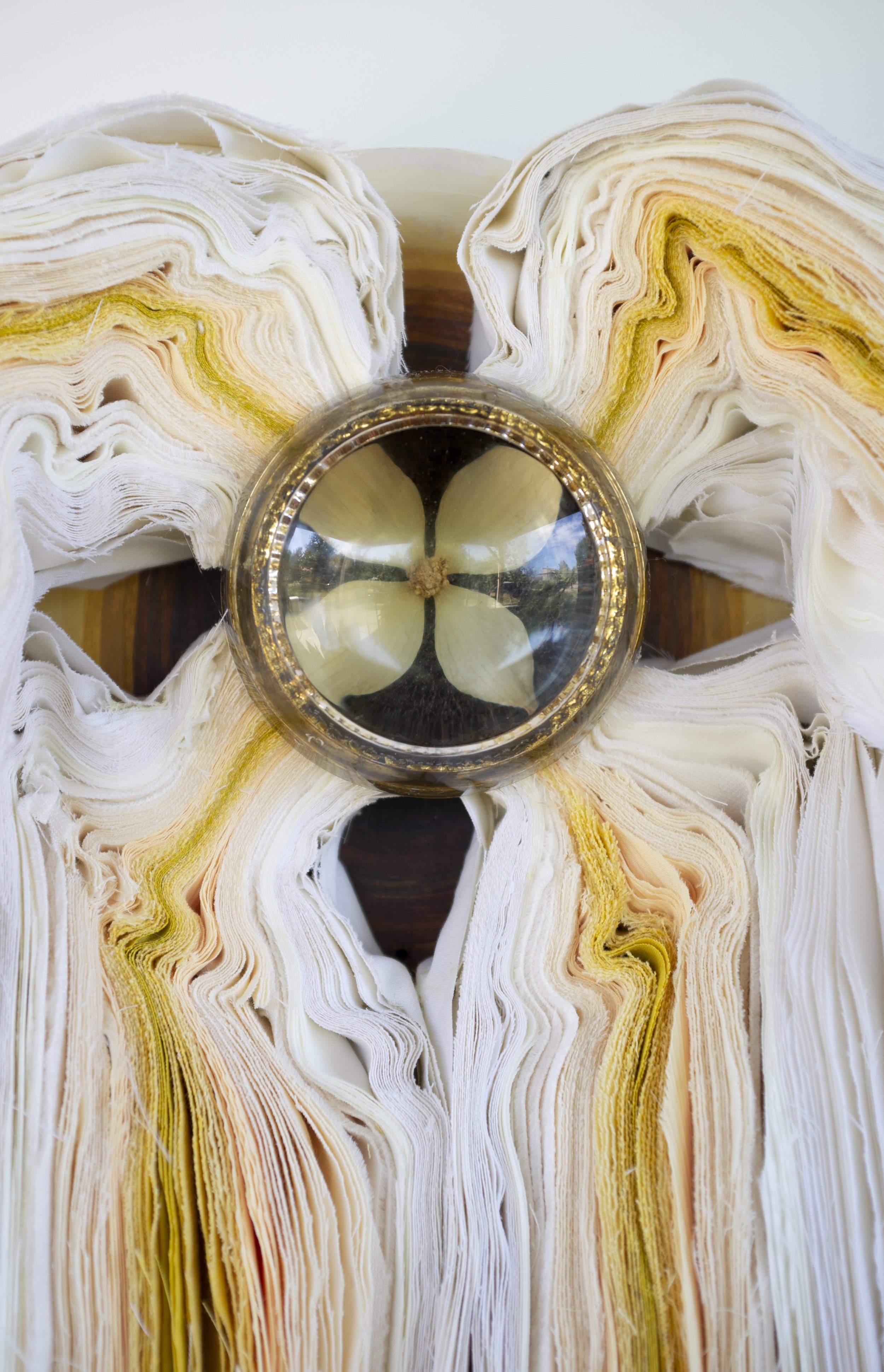 tired dogwood detail III.jpg