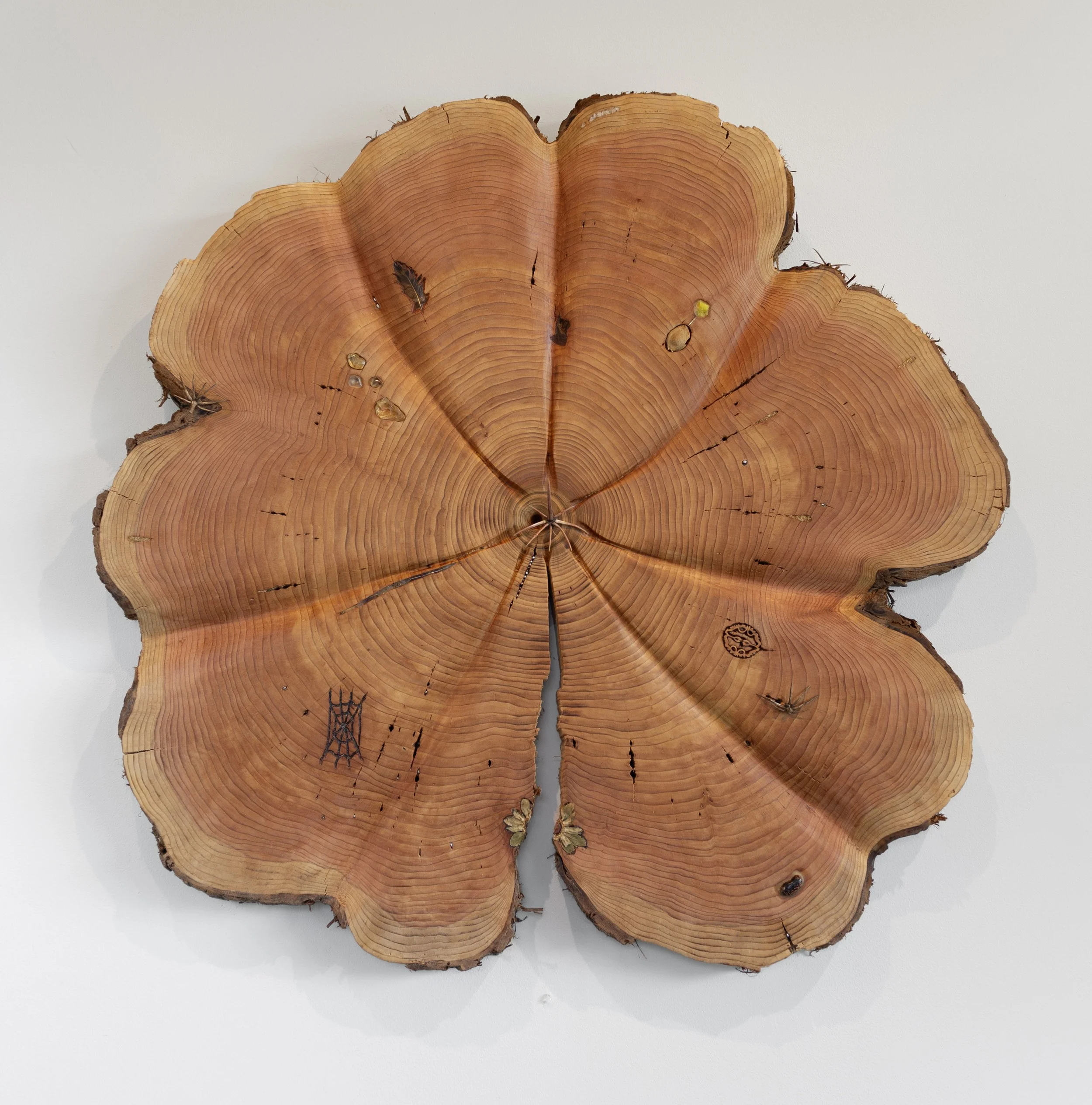 A Loss Deferred,
2025,
Carved reclaimed cedar, horse cripplers, Oregon sunstones, pearls, walnut, beeswax, flower petal powder (sunflower, rose, iris), Northern Flicker feather, tennis ball, apricot pit, solder, cat whisker, strawberry top, scarlet r