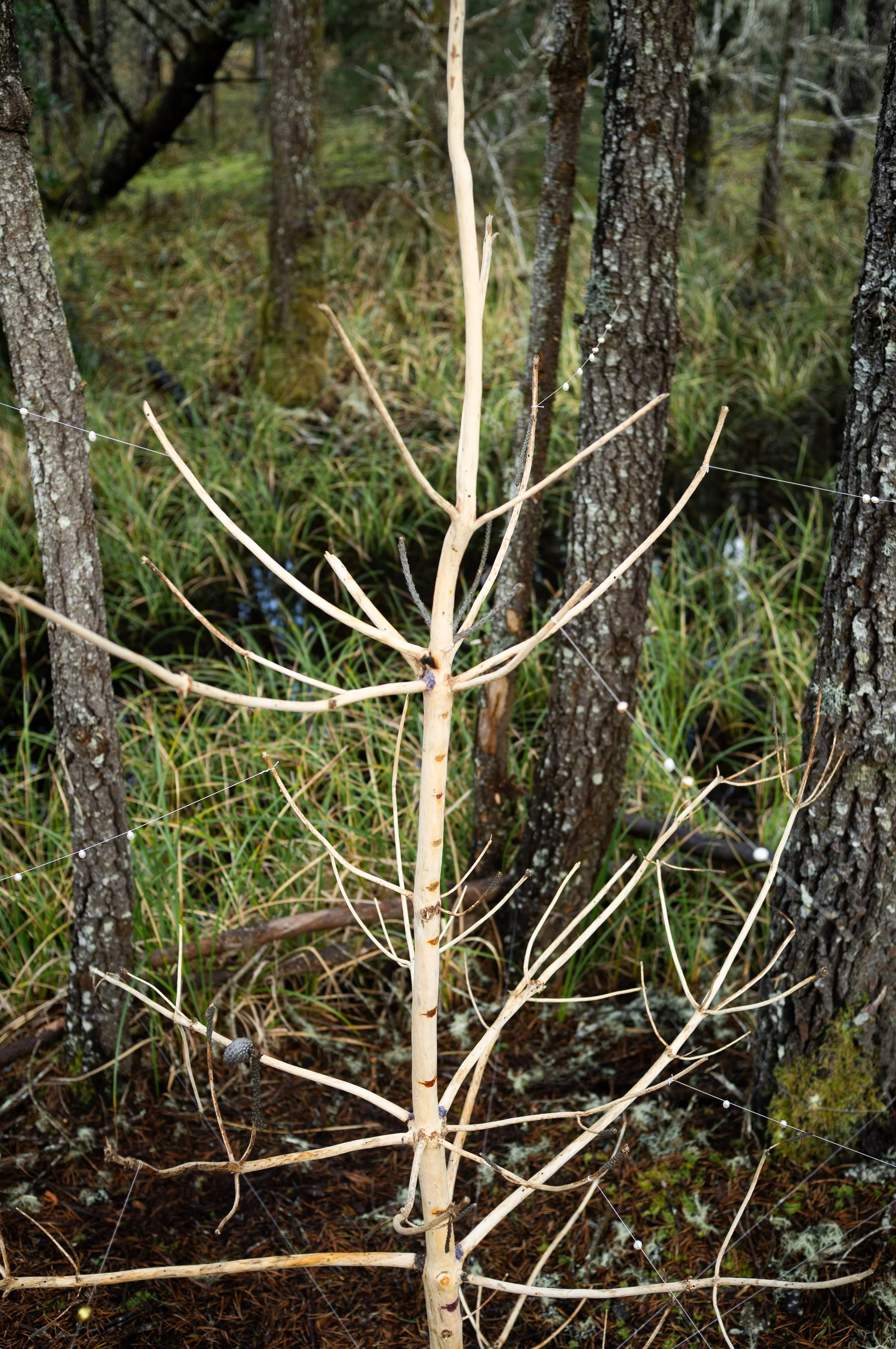 Huddled Strength (detail I).jpg