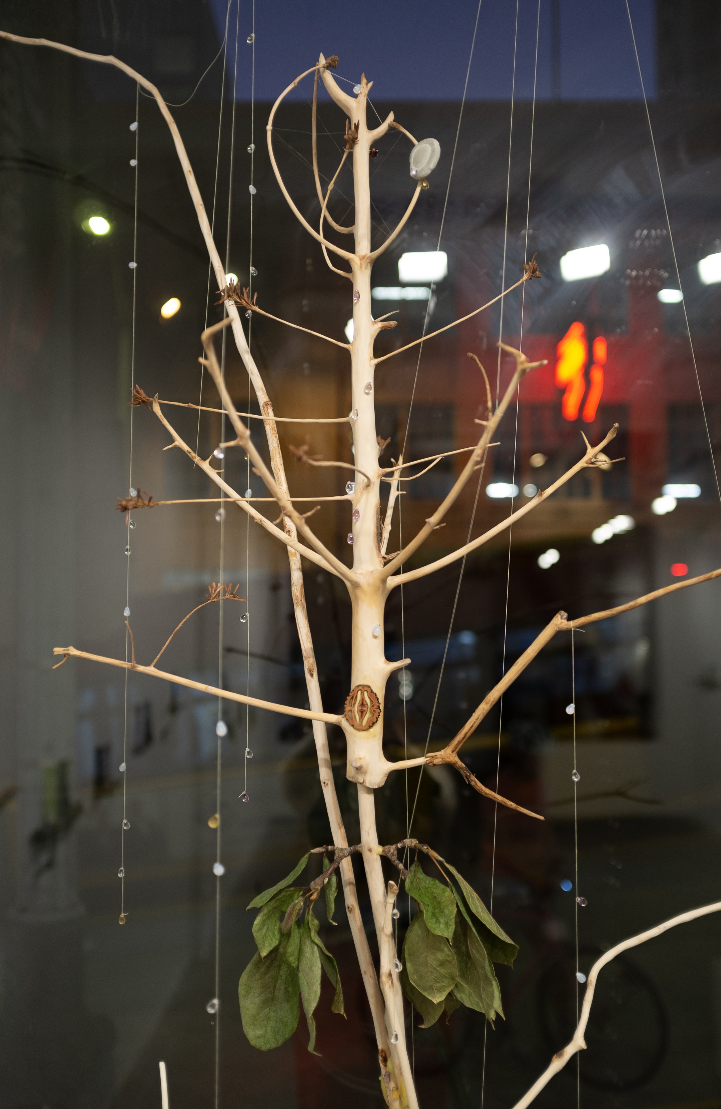 i wish (head:dreams).jpg