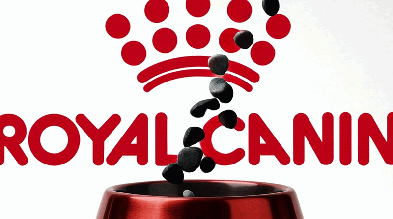 03161-ezgif.com-video-to-gif-converter (1).gif