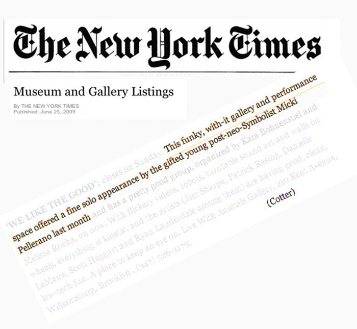 The New York Times (2009)