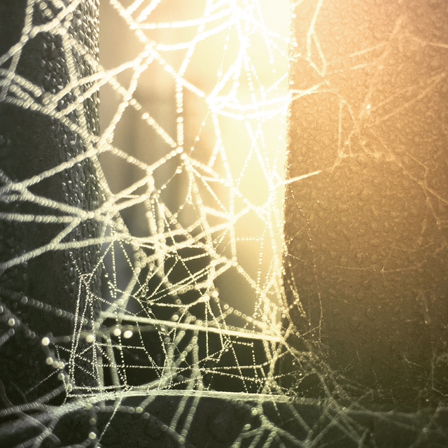 Theme: Sparkle