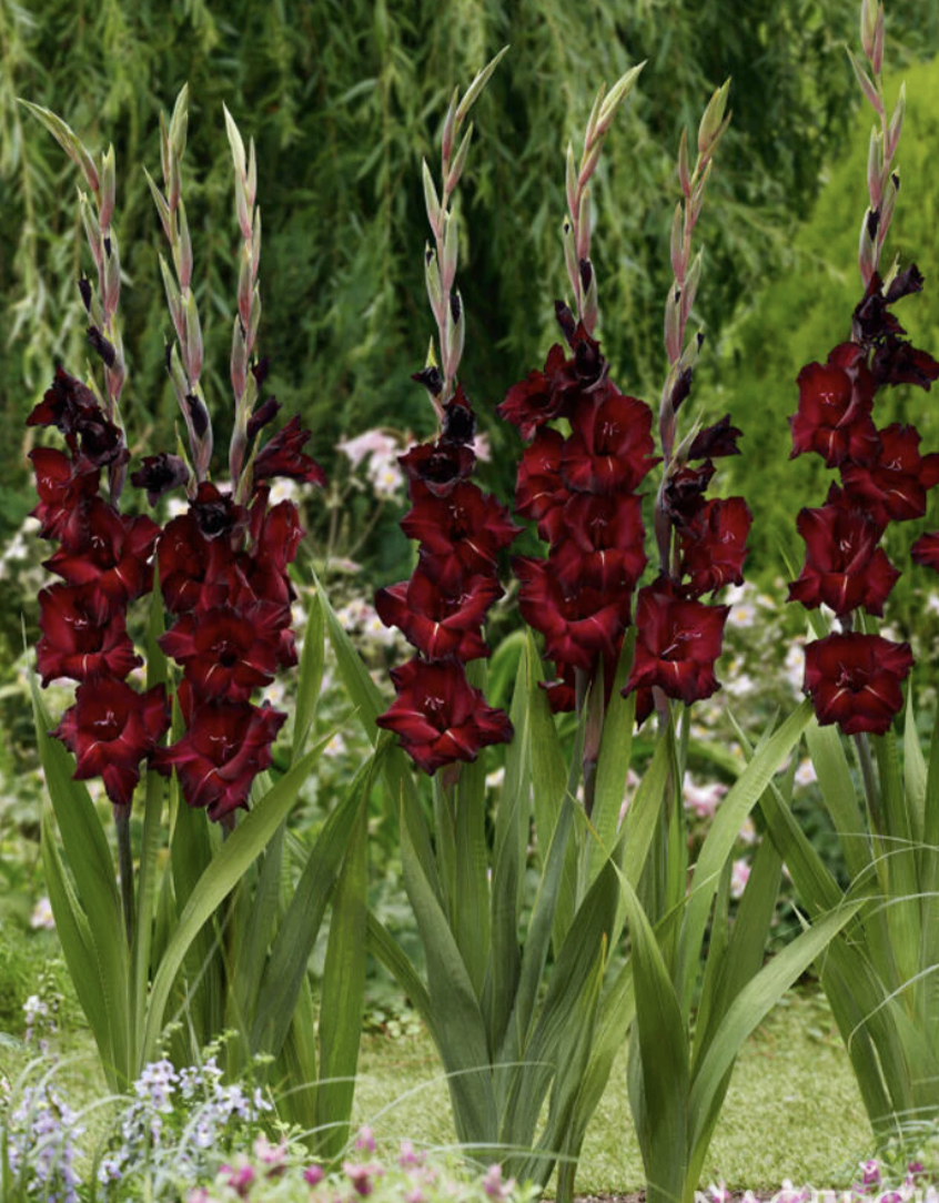 Screenshot 2026-04-09 at 10.38.22 AM.png