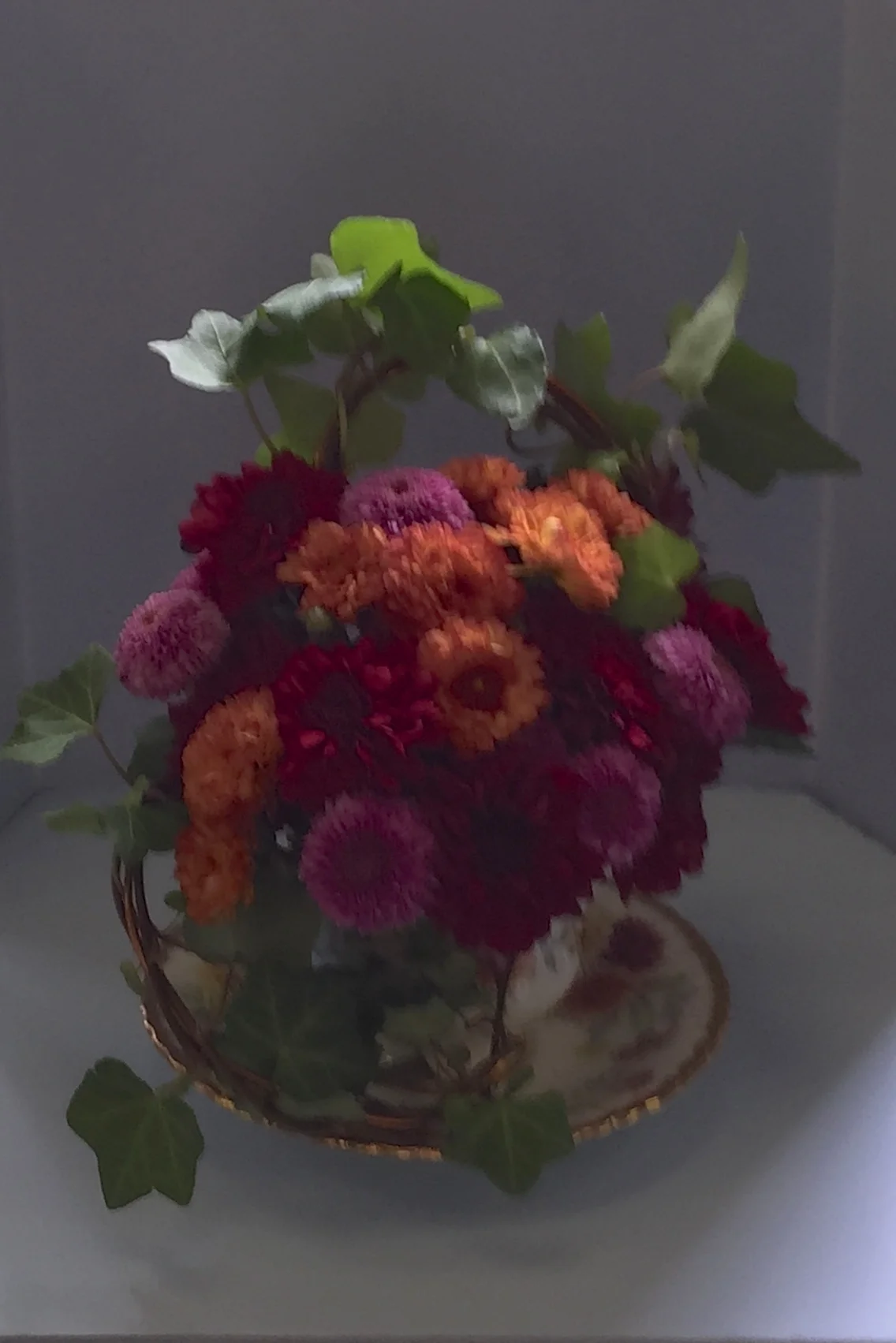 gcog sept 2015 design311.jpg
