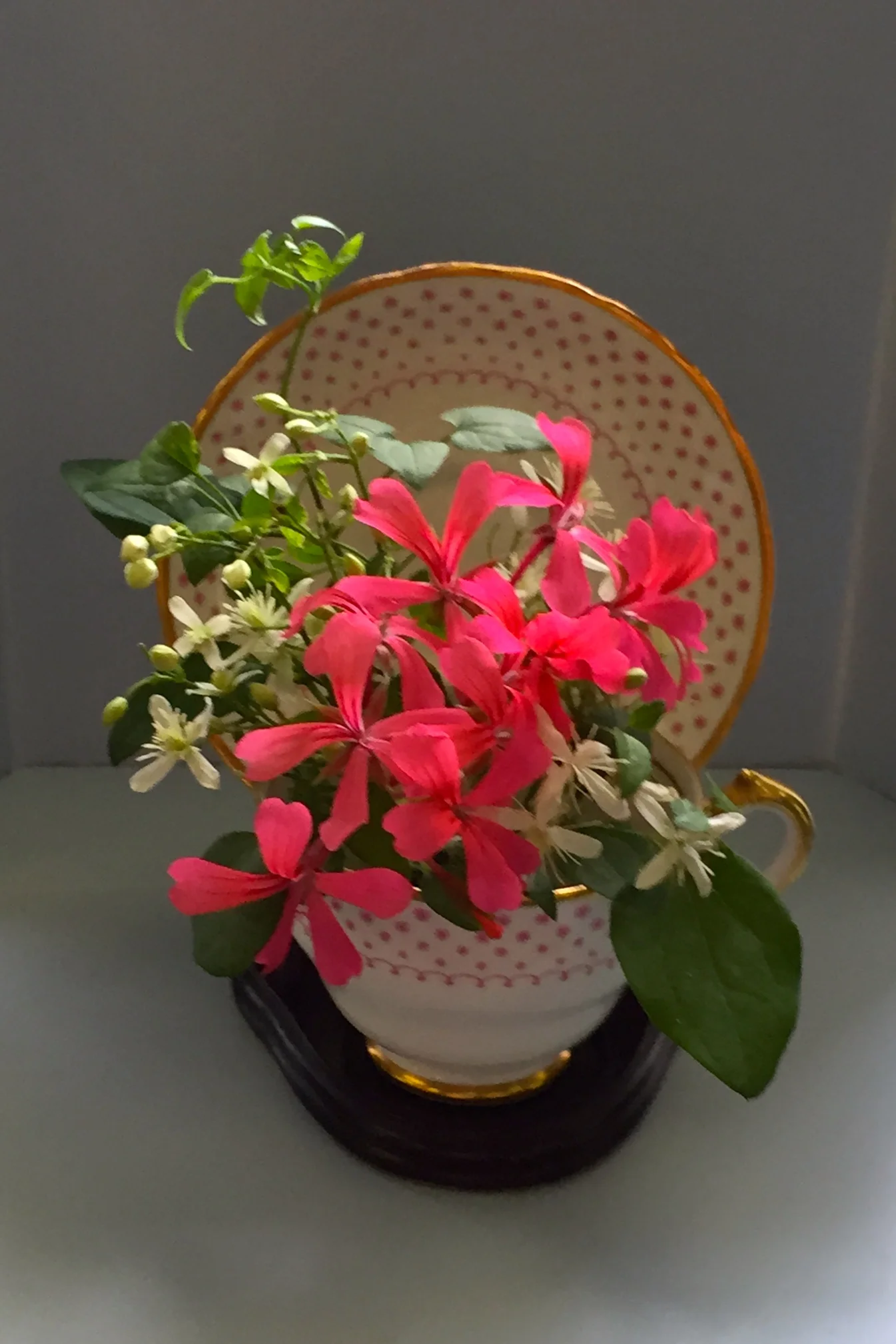 gcog sept 2015 design303.jpg