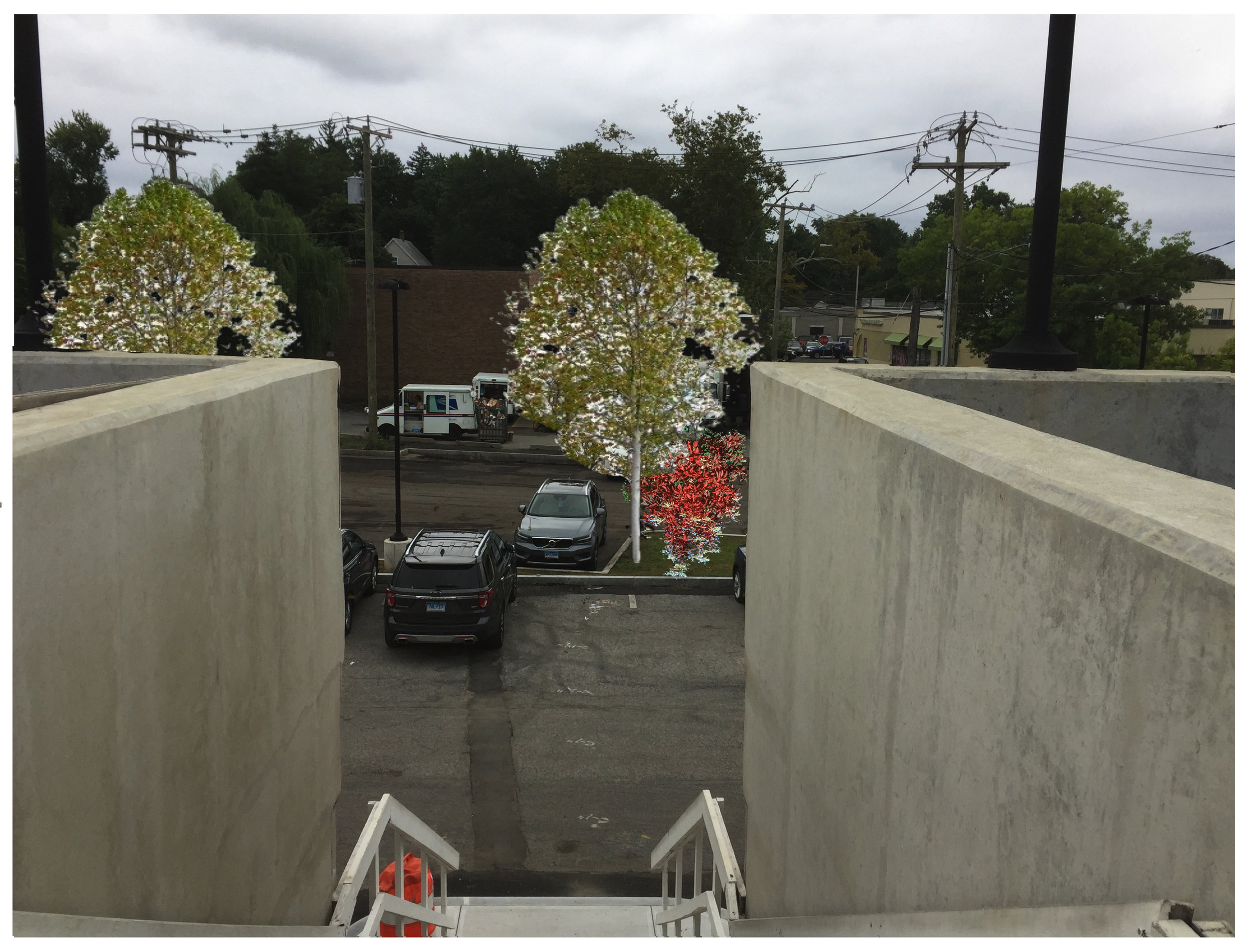 train view from stairs trees.jpg