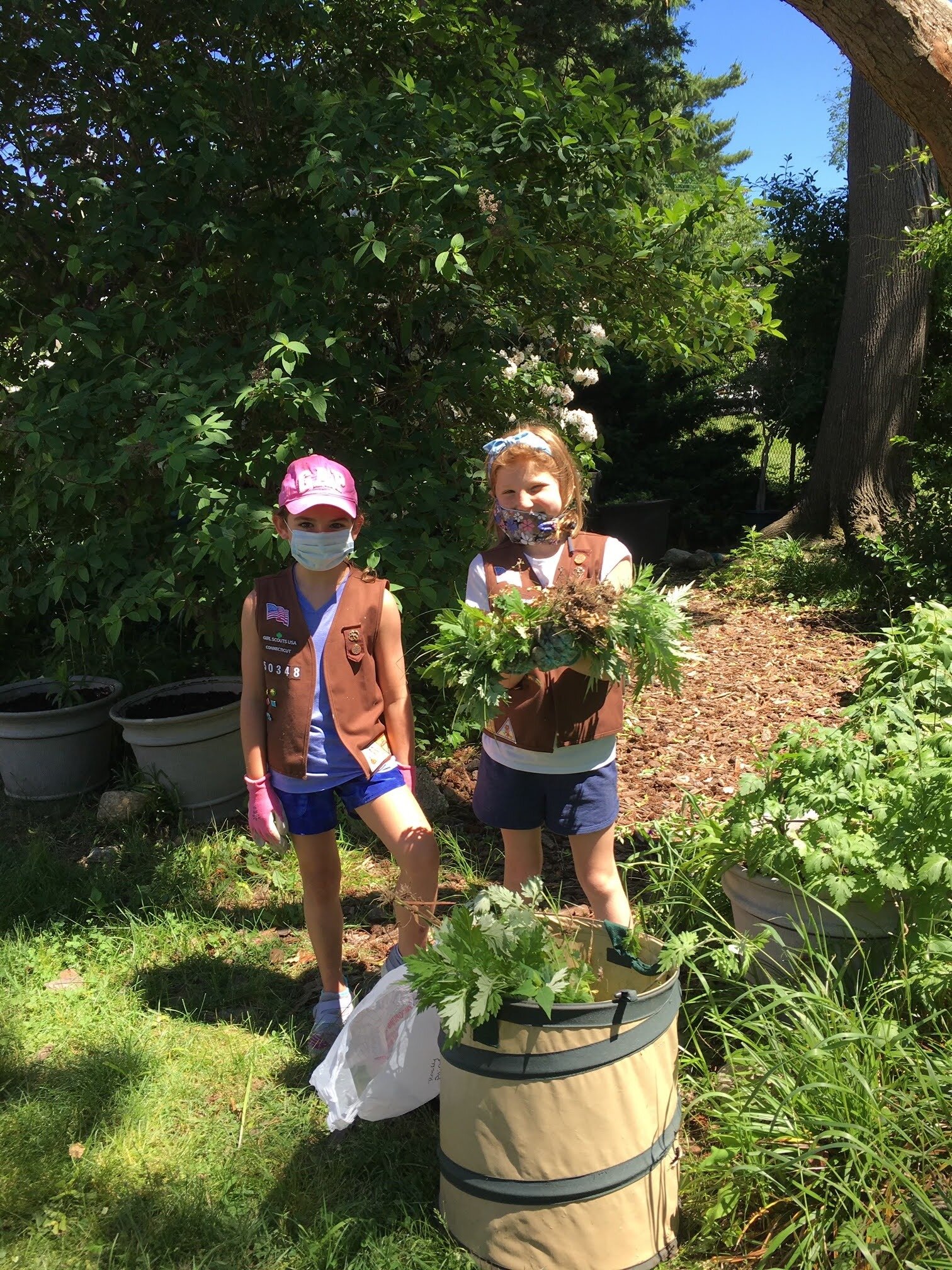 Secret Garden at Old Greenwich School