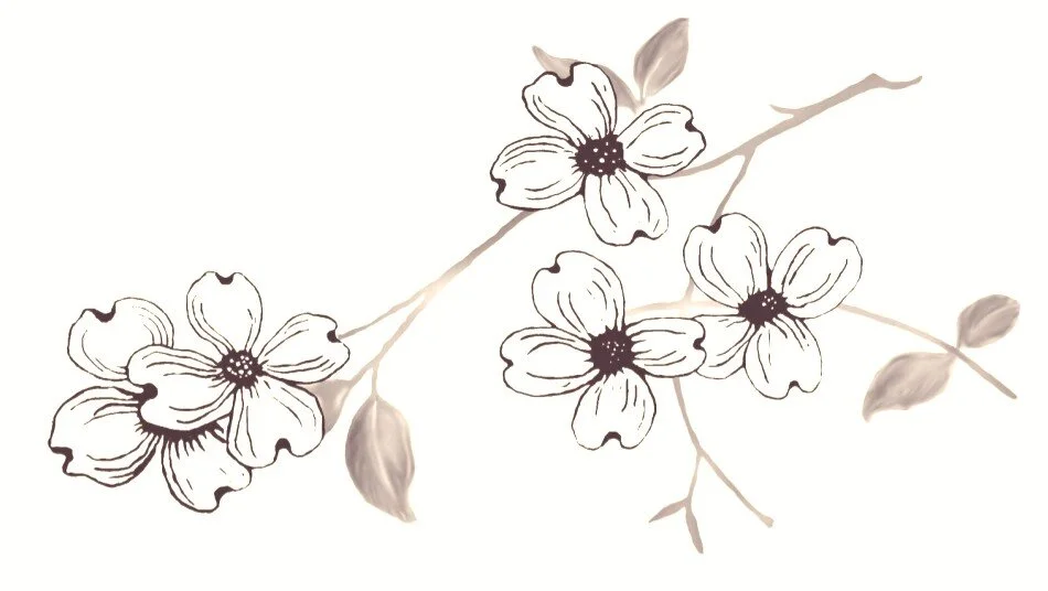 Screen Shot 2021-08-10 at 2.07.06 PM.jpg