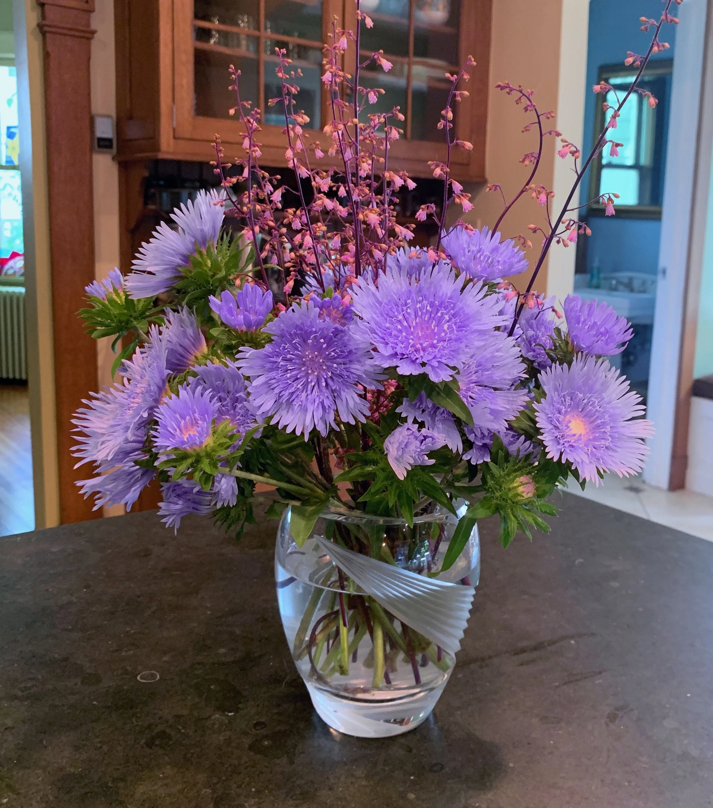 stokesia and heuchera flowers. This photo was taken in early June