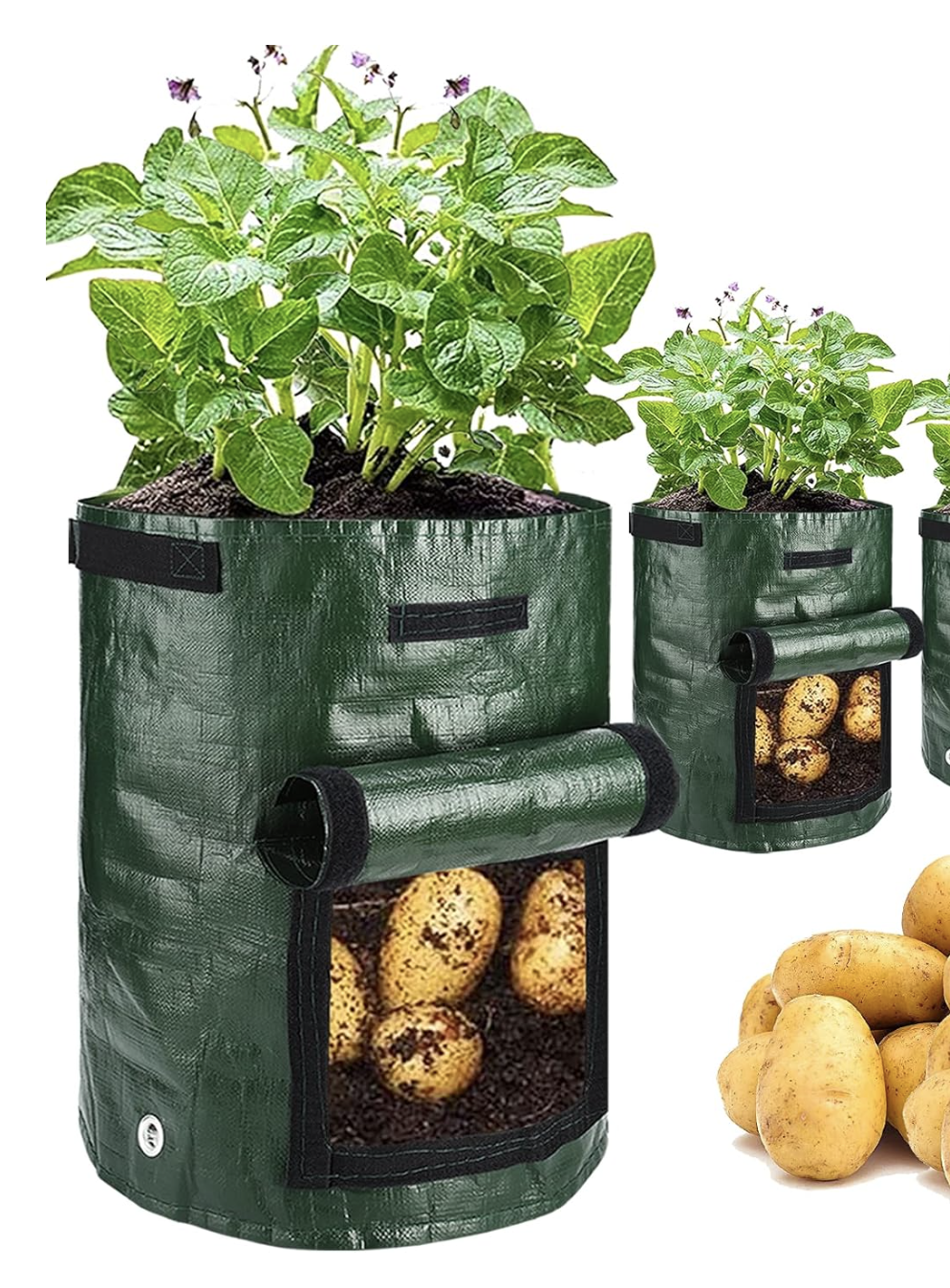 Screenshot 2026-01-19 at 10.50.29 AM.png