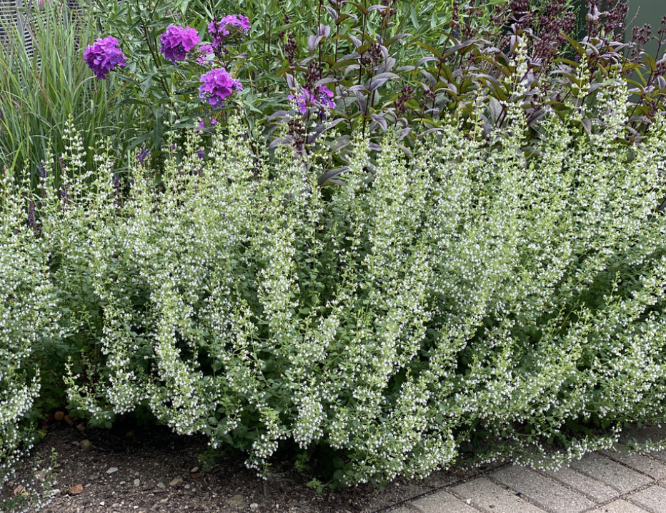 Screenshot 2026-02-28 at 1.48.26 AM.png