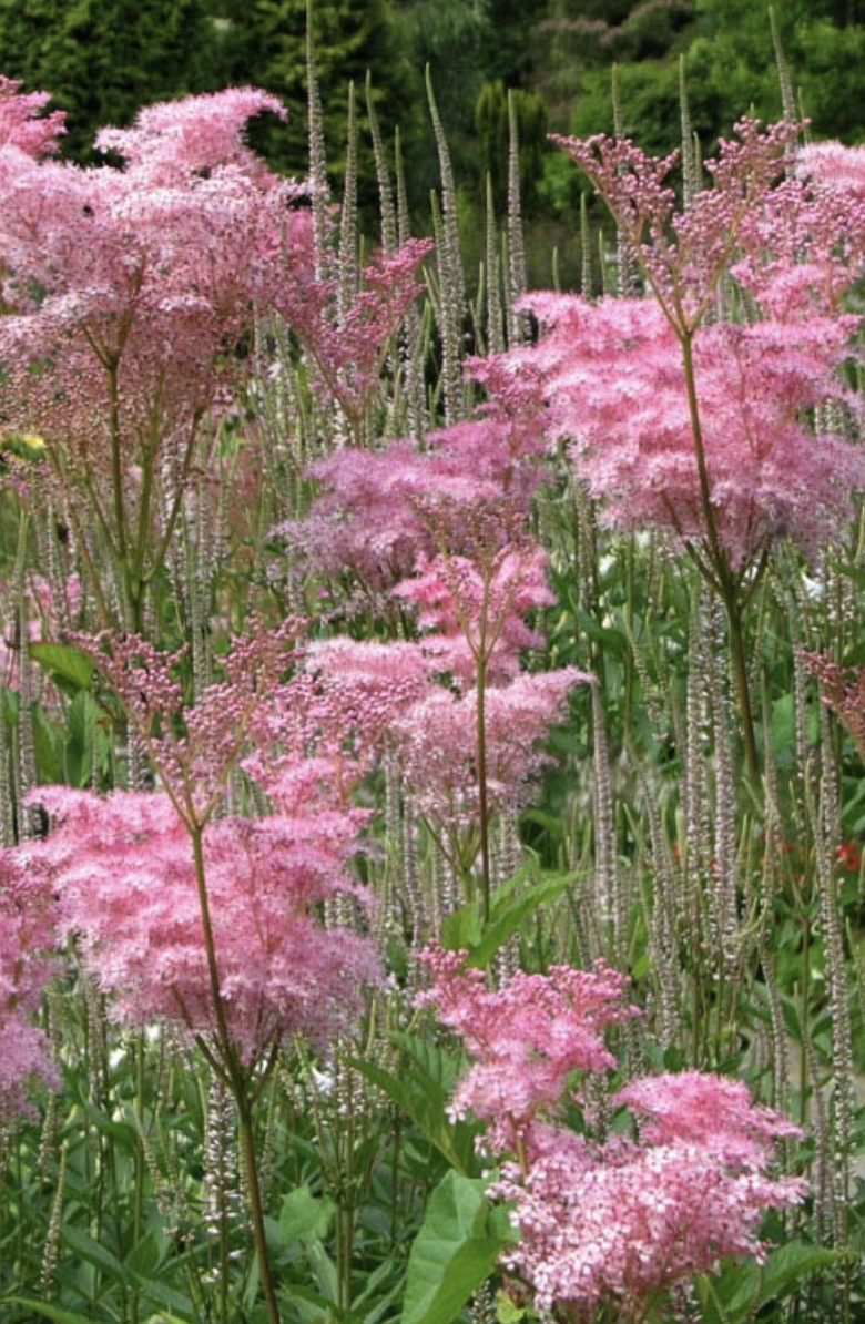 Screenshot 2026-02-27 at 2.33.41 PM.png