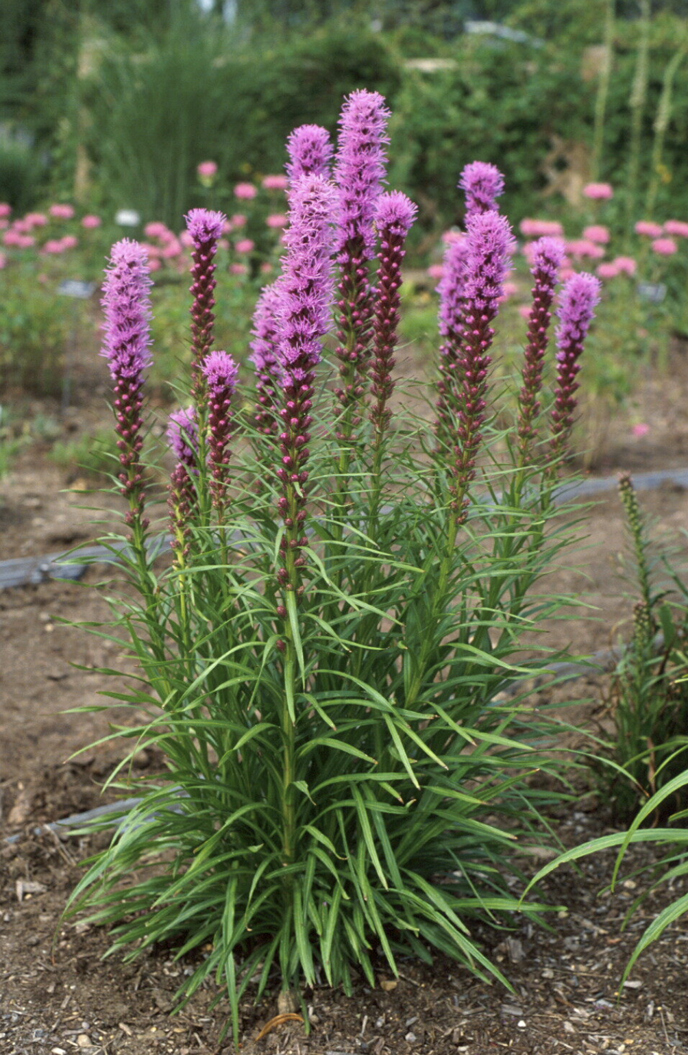 Screenshot 2026-03-07 at 9.10.27 PM.png