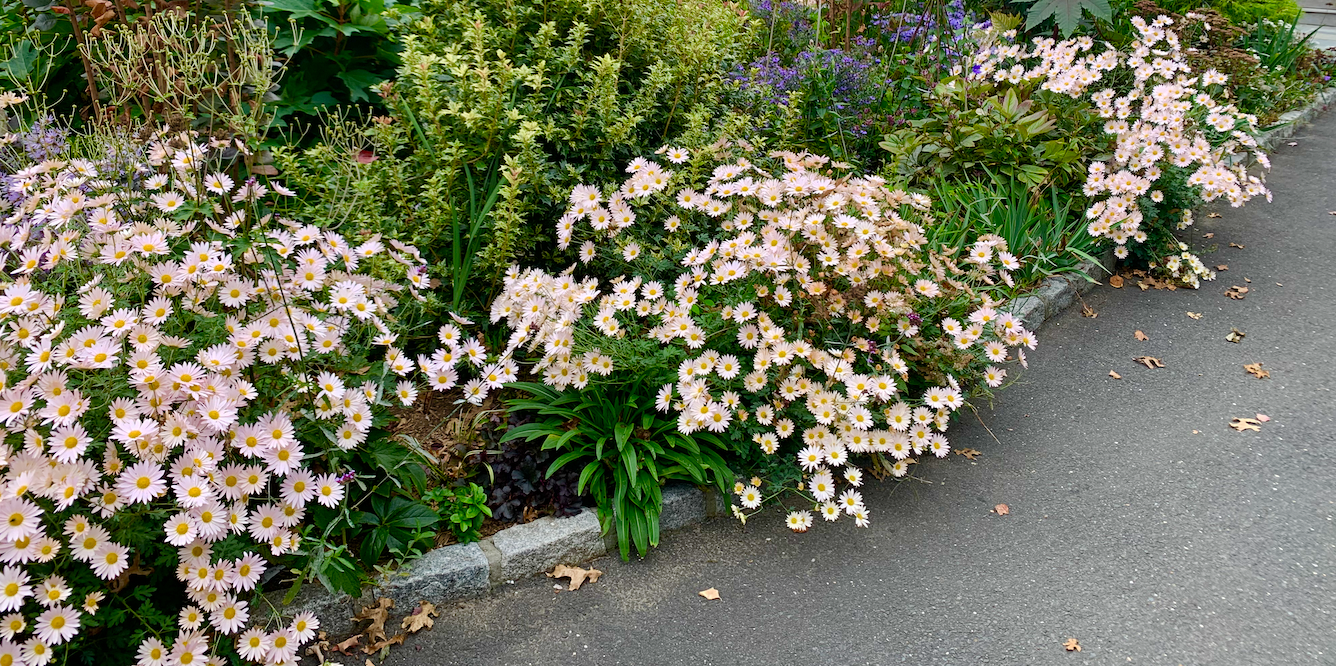 Screenshot 2026-02-28 at 1.02.32 AM.png