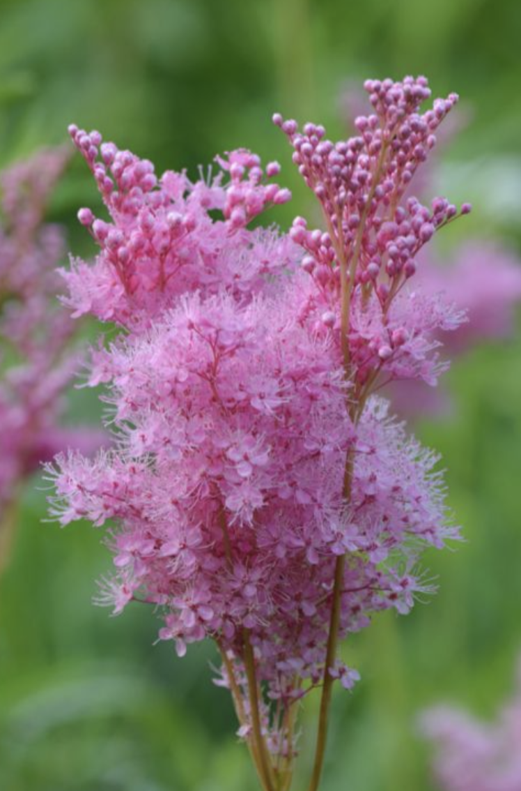 Screenshot 2026-02-27 at 2.32.51 PM.png