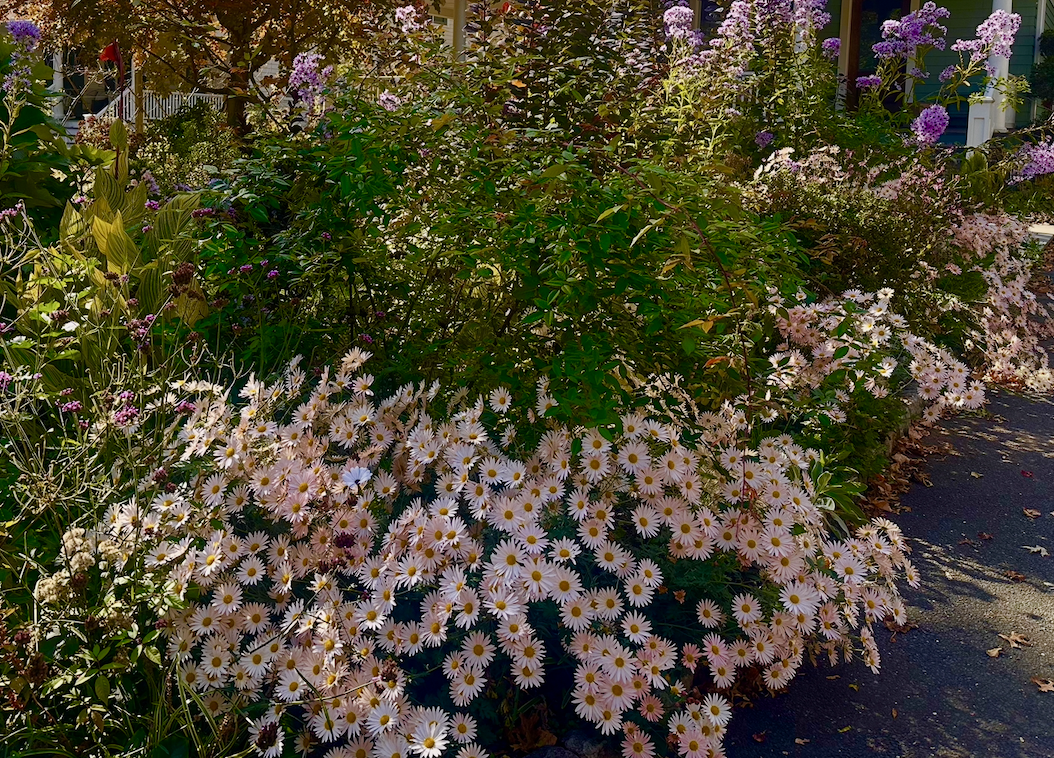 Screenshot 2026-02-28 at 12.56.35 AM.png