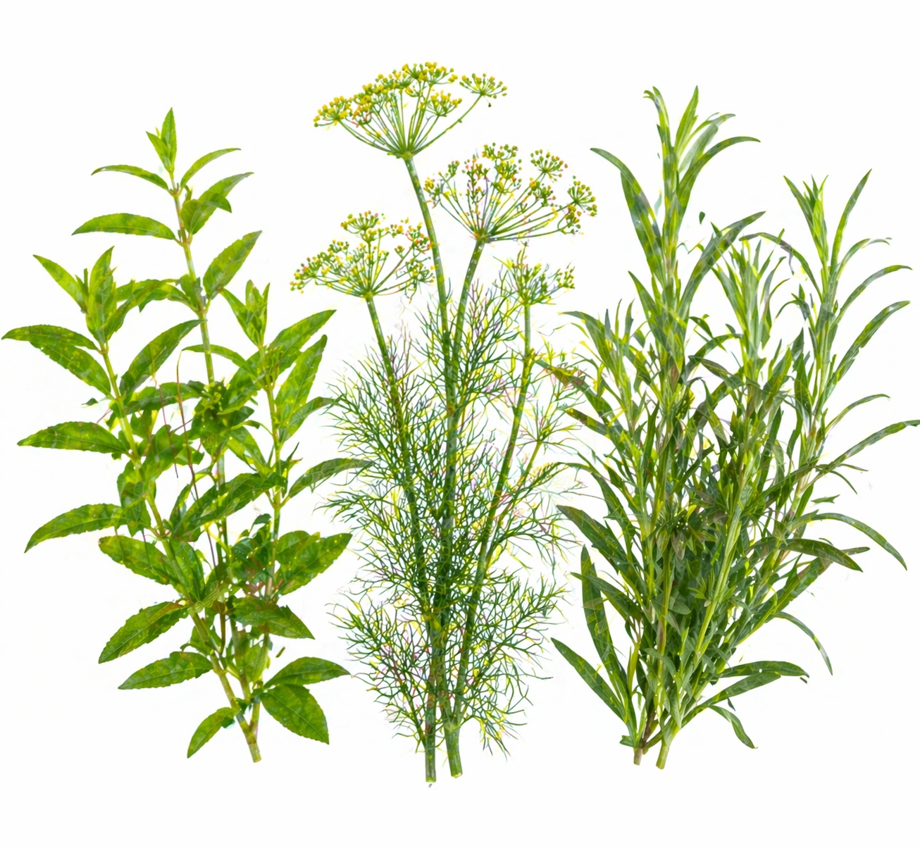 ChatGPT Image Apr 21, 2026, 12_03_02 PM.png