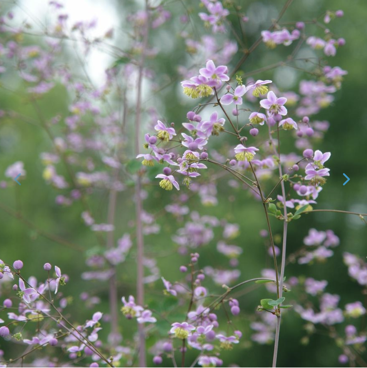 Screenshot 2026-02-27 at 3.24.02 PM.png