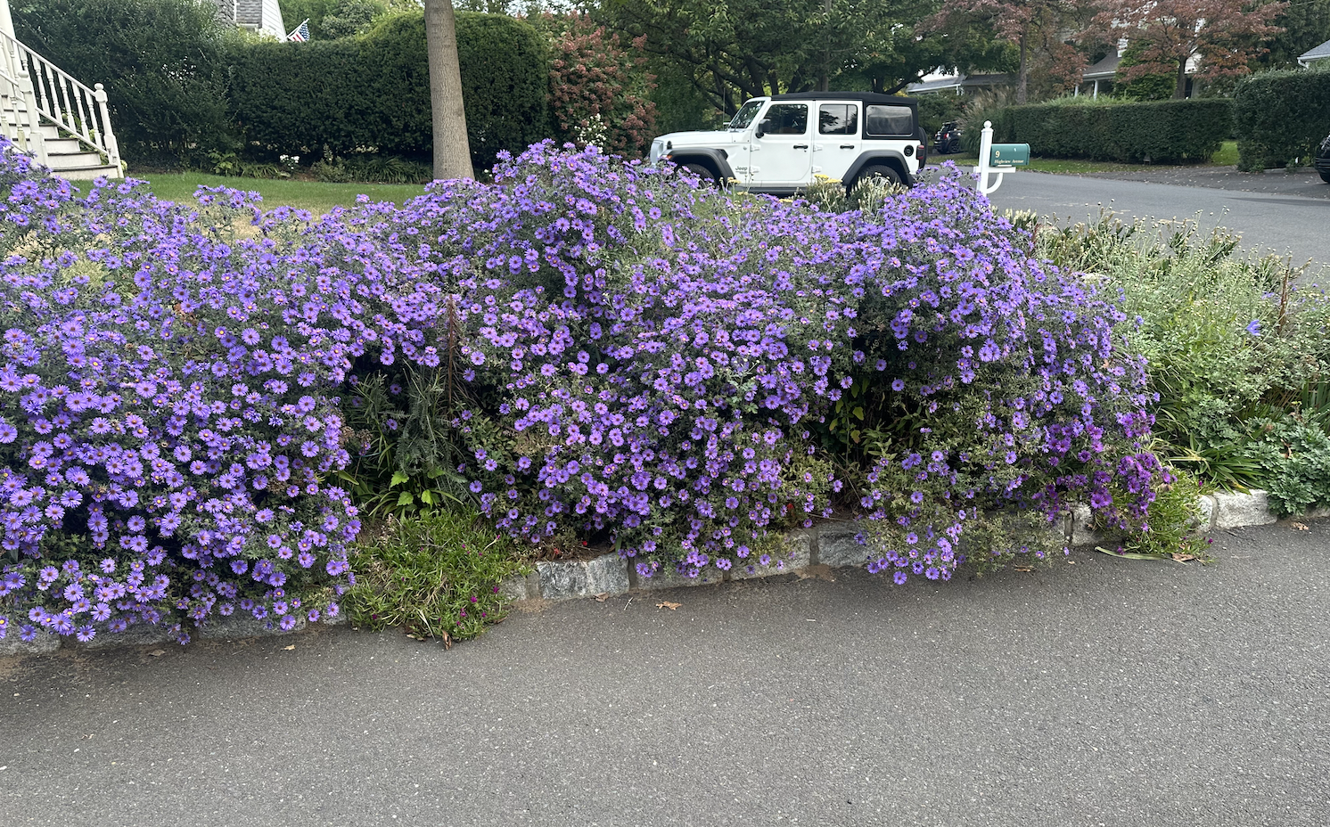 Screenshot 2026-02-28 at 12.57.49 AM.png