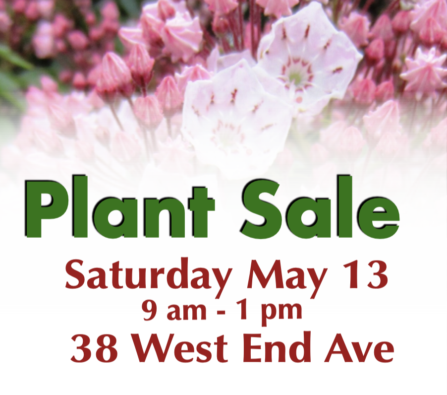 Screen Shot 2023-03-02 at 10.29.59 PM.png