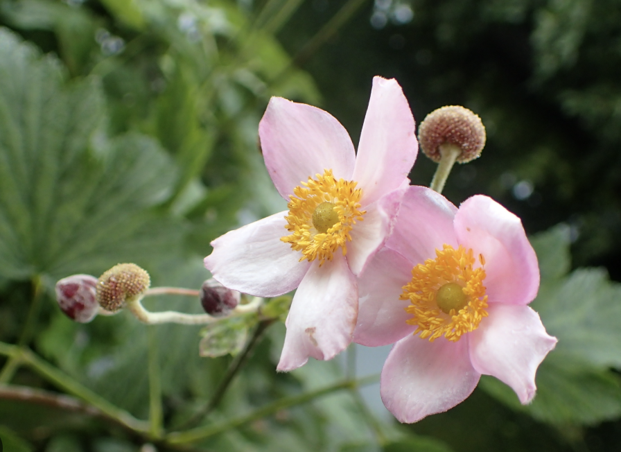 Screenshot 2026-02-28 at 1.23.08 AM.png